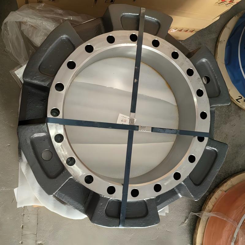 XCMG Excavator Slewing Ring 819908895 - Original Product Photo