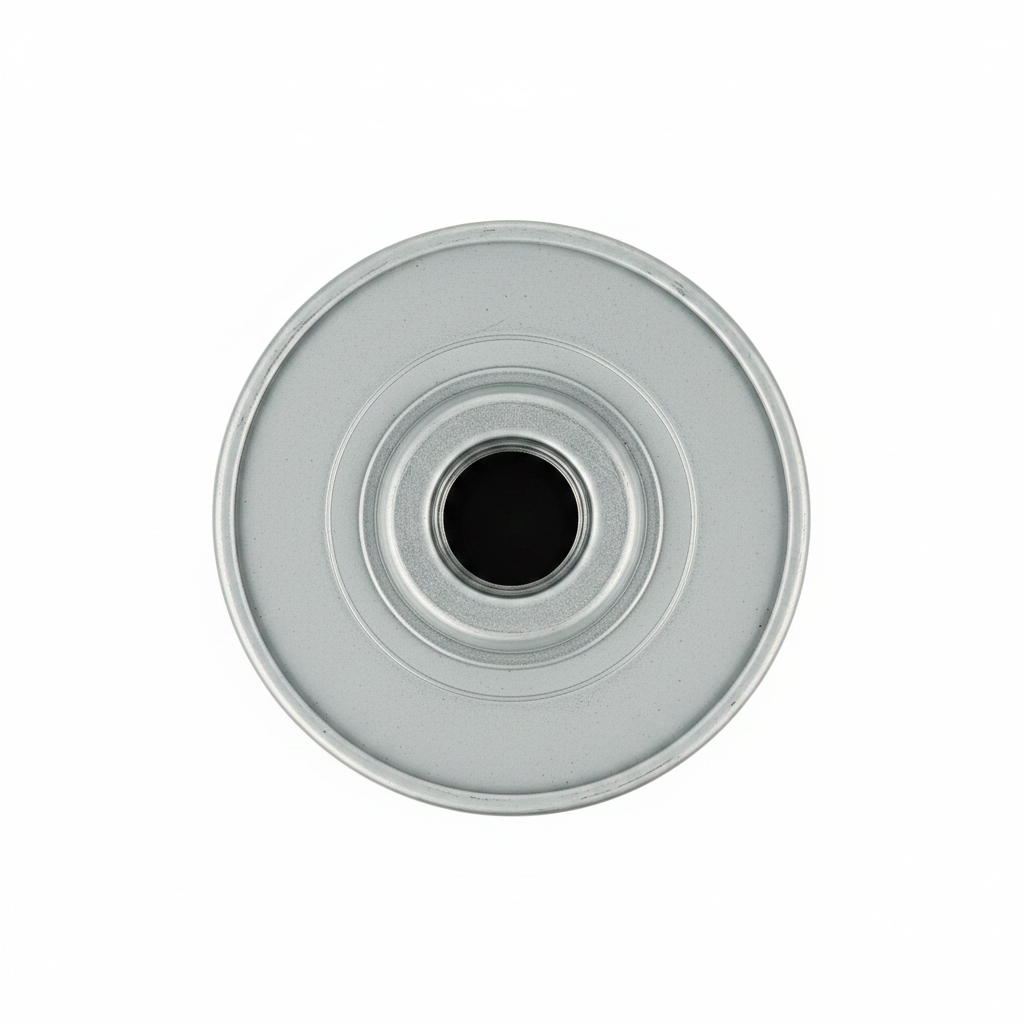 803440533 Gearbox Oil Filter - Top View